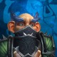 Zarus