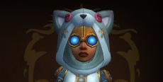 Nipani's icon