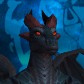 Rucari portrait