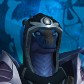 Cortdraka