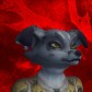 Alohasnakbar avatar