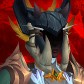 Staylocal avatar
