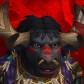 Cowtastic avatar