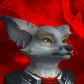 Xddmerchant