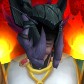 Imnotop