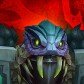 Darkgor
