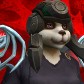 Sáfina