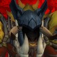Elderwise