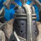 Shonki