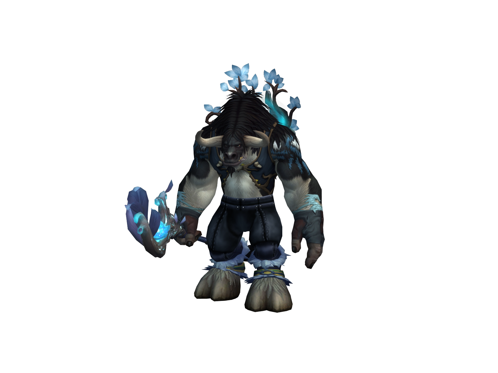 Kraiisor