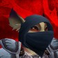 Dioatacc avatar