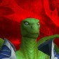 Lizard