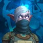 Aegus