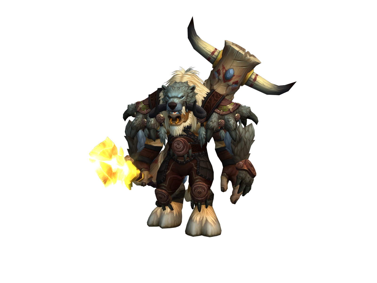 Grizzlybär