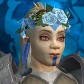 Potatô avatar