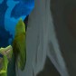 Ided