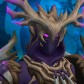 Xargidr