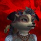 Foxsinban