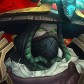 Кристанс-howling-fjord