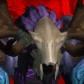 Корявыелапки-howling-fjord
