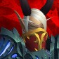 Primara