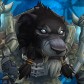 Catcraft