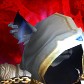 Snuttiz avatar