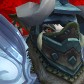 Cognitroll avatar
