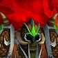 Lifesurge