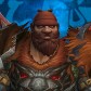 Chakkeus
