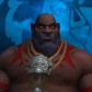 Hesidruid avatar