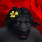 Addedruid