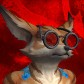 Vonzý avatar