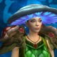 Gorrav