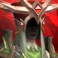Pieren avatar