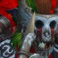 Rizodruid