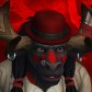 Furrytits portrait