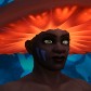 Nagíbulla avatar