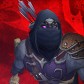 Bobtherog avatar