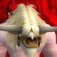 Frgranodruid avatar