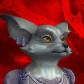 Crossrealms avatar