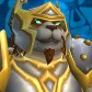 Ursidae avatar