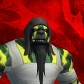 Zibara