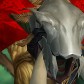 Bolpek avatar