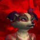 Ashiro avatar