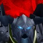 Kerasu portrait