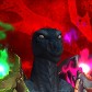Vildrok avatar