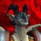 Drakathedral avatar