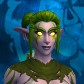 Dvuida