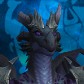 Kotisera